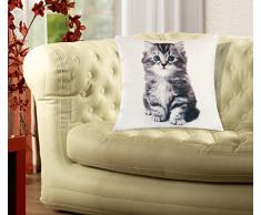 Dreamscene housse de coussin ultra doux animal Chaton vide, multicolore, complet, 45Â x 45, 45Â cm x 45Â cm