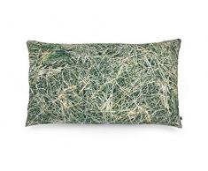 FOONKA HEU Coussin de Sarcelle avec Coques en Coton et Coton Gris/Vert 50 x 30 cm