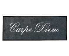 Young Generation Shoe-Max YH Everclean 101547 Paillasson Inscription Carpe Diem Gris foncé/Acier 44 x 120 cm