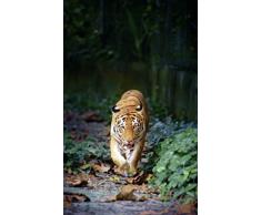 Poster vertical XL déco RENCONTRE 150 x 240 cm | Trompe lœil Déco murale Qualité HD Scenolia