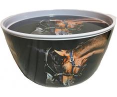 COUNTRY MATTERS de Vieux Amis Motif Cheval Grand saladier avec Couvercle/Plateau, MÃ©lamine, Multicolore, 10Â x 27.5Â x 14Â cm