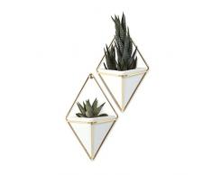 UMBRA Trigg, Jardinière Suspendue & Pot Géométrique pour Décoration Murale – Idéal pour des Plantes Succulentes, des Plantes Aériennes, des Mini Cactus, des Fausses Plantes et Autres, Céramique Blanche/Laiton (Lot de 2)