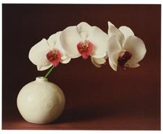 Affiche 24x30 cm OrchidÃ©es et vase blanc / Orchids and white vase / Orchidee und weiÃe Vase Florence ROUQUETTE
