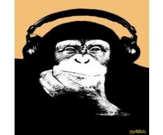 1art1 Empire Merchandising 292940 Poster Motif Steez Singe DJ 61 x 91,5 cm