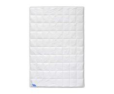 Böhmerwald 329600-22 Couette en Duvet 200 x 200 cm