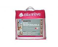 Blanrêve Couette Eco Responsable Très Chaude 200 x 200