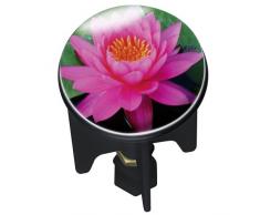 Wenko 21238100 Bouchon de Lavabo Pink Lily Dimensions 4 x 4 x 6,5 cm