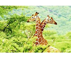 Scenolia Tableau dÃ©coratif Grand Format sur Toile GIRAFES 90 x 60 cm | Impression Haute qualitÃ©