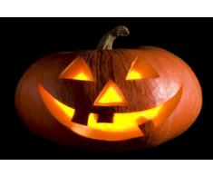 Digital Republic.com 40245 Paillasson Polyamide-PVC sans Phtalate