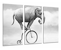 Tableau Moderne Photographique, Impression sur bois, Hipster, vÃ©lo dÃ©lÃ©phant danimal, noir et blanc, 97 x 62 cm, ref. 26837