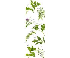 DECORATION adhésive pour CUISINE et réfrigérateurs Plantes Aromatiques Autocollant, Polyvinyle, Vert, 59,5 x 0,1 x 180 cm