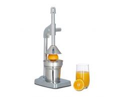 Relaxdays Presse-fruits manuel avec levier, presse orange, pommes presse citron centrifugeuse manuelle 37 x 12 x 18 cm, argenté