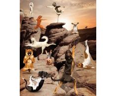Empire Poster avec Accessoire Motif Chiens Faisant du Yoga Petit Format