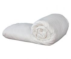 Castex Couette tempérée 50% duvet-50% plumettes neufs 300x250 cm