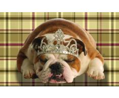 Digital Republic.com 40589 Paillasson Polyamide-PVC sans Phtalate