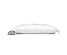 Rayen Housse de Rangement sous Vide, PVC, Transparent, 65x105x30 cm