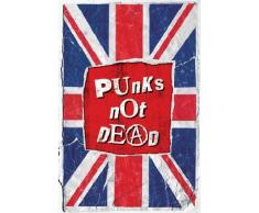 1art1 40861 Poster Musique Punks Not Dead 91 x 61 cm