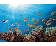 Papier Peint dÃ©co poster FOND MARIN 3 x 2,70 m | DÃ©co et photo murale XXL QualitÃ© HD Scenolia