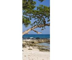 PeelitStickit id-1344 60 Largeur x 130 cm Hauteurâ¯: Belle Nature de Haute qualité en Vinyle Papier Peint Mural