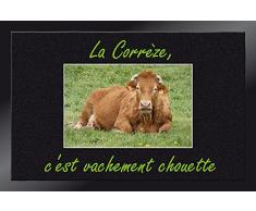 ID Mat Tapis Paillasson, 100% Fibres Polyamide sur Semelle PVC, Noir, 40 x 60 cm