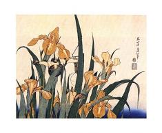 Legendarte Tableau, Impression sur Toile - Iris Et Sauterelle Katsushika Hokusai - cm. 80x100
