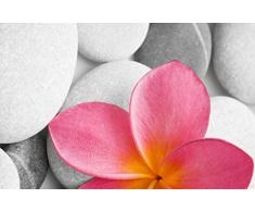 Papillon Tapis de Salle de Bain Super Absorbant en Polyester Motif Fleurs Zen 60 x 40Â cm