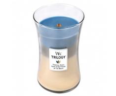 Woodwick 93957 Bougie dans Un Vase en Verre Ovale, Multicolore, 10,2 x 10,3 x 17,7 cm