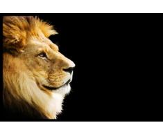 Digital Republic.com 40125 Paillasson Polyamide-PVC sans Phtalate