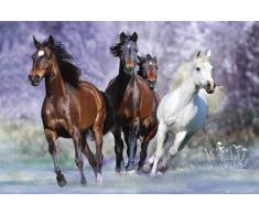 Empire Poster bob 267757 Affiche/Chevaux Course env. 91,5 x 61 cm