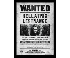 Wizarding World FP10612P-PL Affiche EncadrÃ©e, Multicolore, 30 x 40 cm