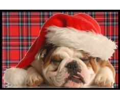 Digital Republic.com 40011 Paillasson Polyamide PVC sans Phtalate