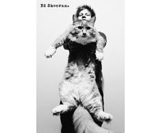 1art1 Ed Sheeran Poster - The A Team, Chat (91 x 61 cm)