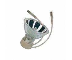 Osram SIG 64004 Ampoule LED CL 50 W 10 V K23D 10 x 1 HC