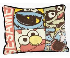 United Labels 0119983 hÃ©ros Street, Coussin - 40 x 30 cm