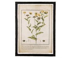 Clayre & Eef 6H1604 Tableau sur Toile 37 x 2 x 50 cm