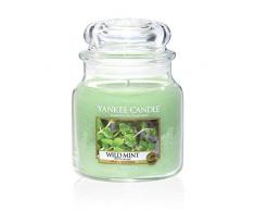 Yankee Candle Menthe Sauvage, Verre, Vert, Bougie Jarre Moyenne