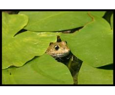 Digital Republic.com 40322 Paillasson Polyamide-PVC sans Phtalate