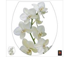 Plage 260207 Sticker Smooth WC - Phalae, 40 x 34 cm