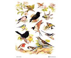 Samuel Lamont Torchon en Coton Motif Oiseaux Britanniques