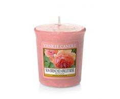 YANKEE CANDLE Samplers Bougie parfumée en Cire Abricot Rose 4,6 x 4,8 x 1 cm