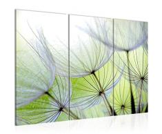 Tableau decoration murale Fleurs de pissenlit 120 x 80 cm - XXL Impression sur Toile Salon Appartment 3 Parties - prÃªt Ã accrocher - 206131a