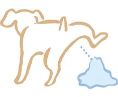 Indigos 4051719937374 Sticker Mural, Bunt, 40 x 27 cm