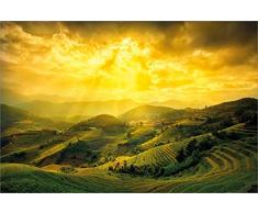 Grindstore Maxi Poster Rice Fields of Yen Bai 91,5 x 61 cm