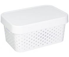 CURVER 04760-N23-00 Boîte à Rangement Infinity Points avec Couvercle 4,5L en Blanc, Plastique, 26,8x18,6x12,4 cm