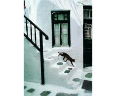 Affiche 50x70 cm Chat grec / Greek Cat / Griechische Katze Hans SILVESTER