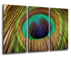 Tableau Moderne Photographique, Impression sur bois, Plumes de paon, 97 x 62 cm, ref. 26234