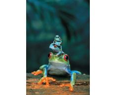 Empire Poster et Accessoire Motif Grenouilles Famille