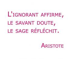 StickHappy SH0013-rose-175x110 Stickers citation sagesse Rose 175 x 110 x 0,1 cm