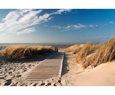 Scenolia Tapisserie Toile Textile Paysage Plage Dune et VÃ©gÃ©tation 3 x 2,70m - DÃ©coration Murale Trompe lâOeil - RevÃªtement Panoramique Tapisserie Poster - Pose Facile et QualitÃ© HD