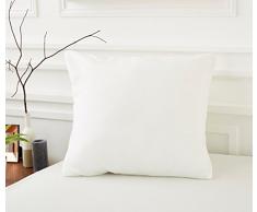 Sweetnight - Protège Oreiller 65x65 cm | Coton très Epais | Anti Acariens et Imperméable | Soyeux et Respirant | Zip de Fermeture | Qualité Hôtellerie de Luxe